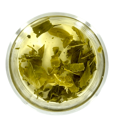 Sencha
