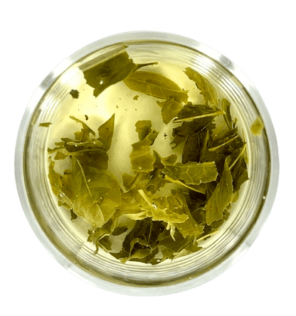 Sencha